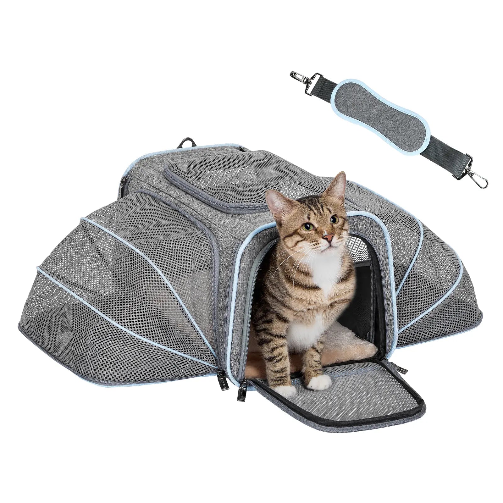 Petsfit Expandable Soft-Sided Pet Carrier for Small Cats and Dogs (Up to 9 lbs) - Airline Approved, Portable, Washable with Two Extensions and Zipper Closure for Travel